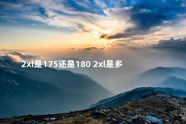 2xl是175还是180 2xl是多大